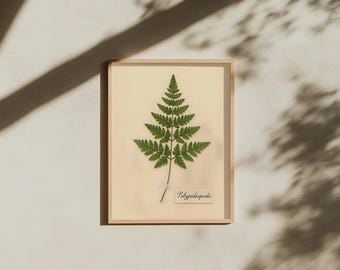 ヴィンテージ植物シダプリント I デジタルダウンロードウォールアート I アンティークグリーン植物イラスト