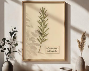 May include: Framed botanical art featuring a sprig of rosemary, with the scientific name "Rosmarinus officinalis" printed on a small label. The artwork is encased in a light wood frame, set against a cream-colored background.