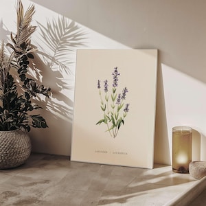Lavender Botanical Poster | 16x20 Inch Wall Art | Vintage-Inspired Decor