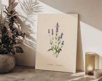 Pôster Botânico de Lavanda | Arte de Parede 40 x 50 cm | Decoração com Inspiração Vintage