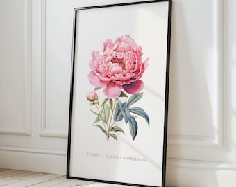 Peony Botanical Print: Retro Vintage Floral Wall Art (Digital Download)