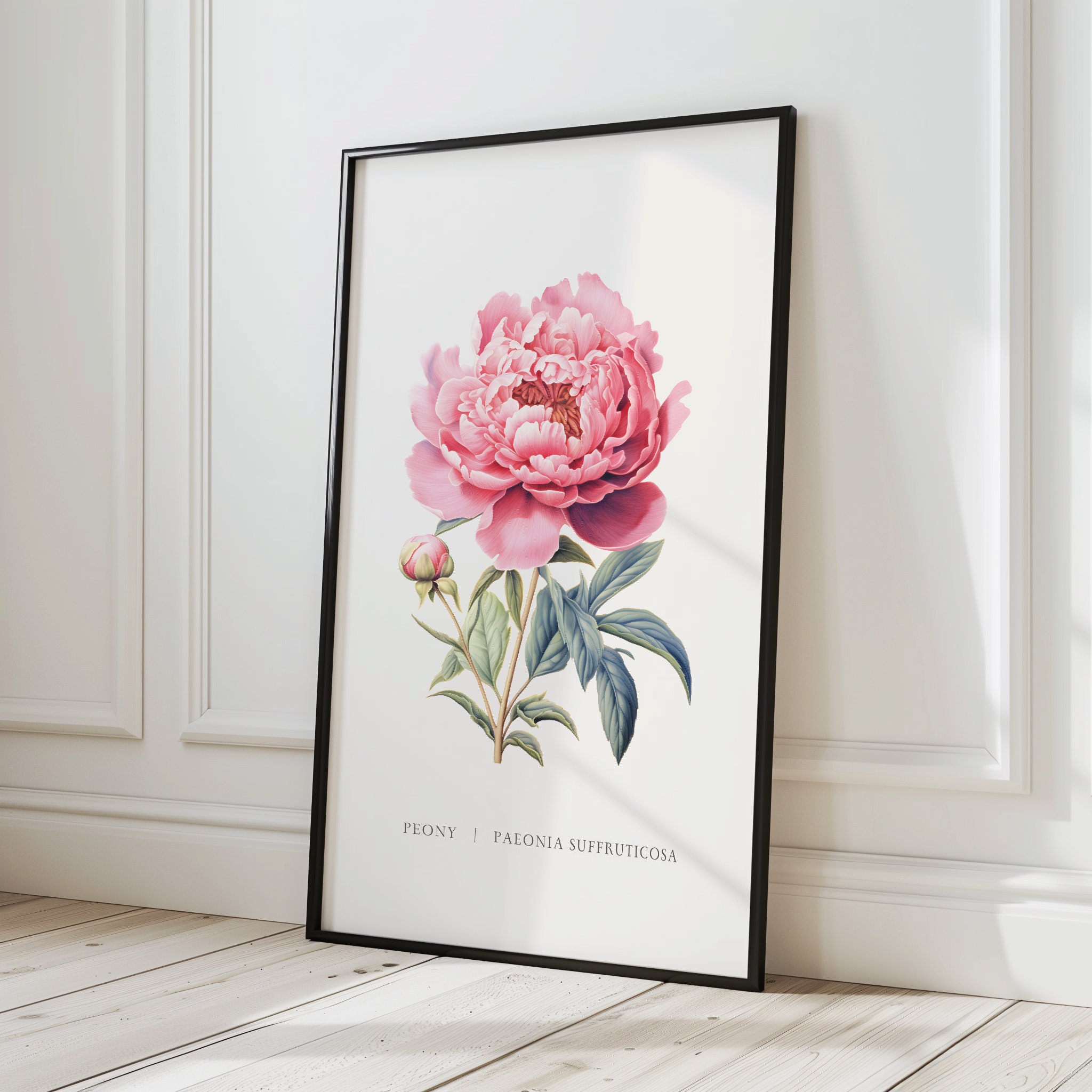 Peony Retro Botanical Wall Art Print, Vintage Wall Decor | 16x20 Inches ...