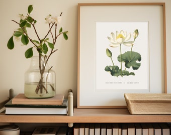 Sacred Lotus Botanical Print: Vintage Indian Lotus Wall Art (Digital Download)
