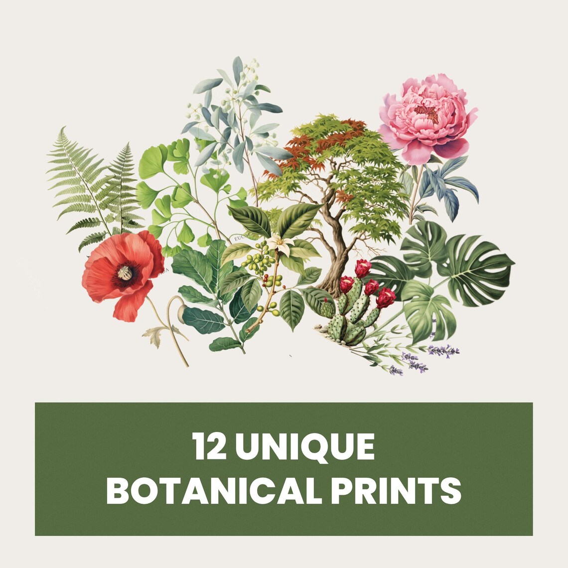 Set of 12 Botanical Posters | Vintage Wall Art | Digital Download ...
