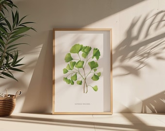Arte de parede Ginkgo Biloba | Impressão botânica retrô | 40x50 cm | Download digital com inspiração vintage