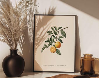 Orange Botanical Wall Art | Vintage Fruit Print | Retro Kitchen Decor | 16x20 Inch Digital Download