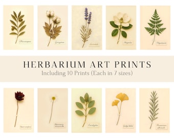 Conjunto de láminas botánicas de herbario: Galería de flores prensadas vintage (descarga digital)