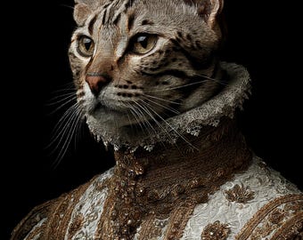 Renaissance Cat Portrait: Custom Royal Pet Art in Golden Outfit