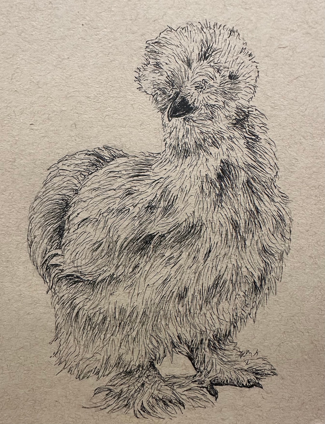 Chicken Shadow Ink Silkie Chicken Art Print: Original Ink Illustration on Toned Paper - Etsy