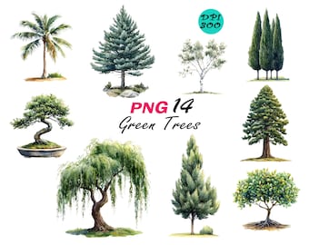 Clipart di albero verde ad acquerello: fogliame botanico PNG (download digitale, 6144x6144px+)