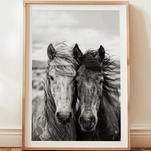 Black and White Wild Horses Portrait Poster, Trendy Western Home Decor Horse Poster, Western Desert Horses Poster Print
