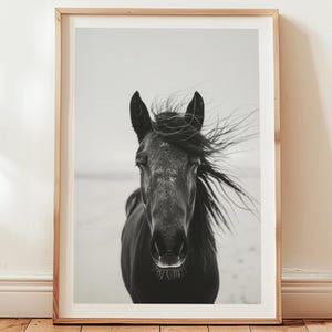 Trendy Modern Farmhouse Horse Print, Minimalistic Black and White Horse Poster, Rustic Ranch Horse Print Decor, Horse Photography Print