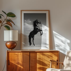Black Stallion Wall Art Print, Cinematic Horse Photography, Western Home Decor, Equestrian Fine Art Print image 4