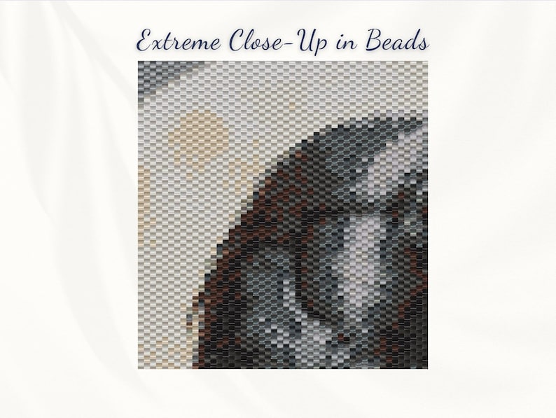 DARKWING | Peyote Tapestry Pattern, Loom Tapestry Pattern, Even Count ...