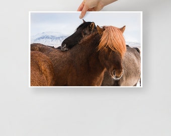 Icelandic Horse Wall Art || Print