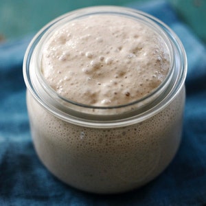 May include: A glass jar filled with a bubbly, light brown sourdough starter. The starter is active and has a foamy texture.