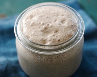 SPRING SALE!!!: Digital sourdough starter recipe and 1 FREE sourdough bread recipe. Limited time only!!!