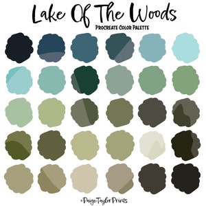 Può includere: Una tavolozza di colori digitale per Procreate, con 25 tonalità di blu, verde e marrone, ispirata a un ambiente lacustre e boschivo. La tavolozza è intitolata "Lake Of The Woods".