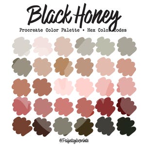 Black Honey Procreate-kleurenpalet, kleurenpalet, iPad Pro, procreate, hexadecimale kleurcodes, digitale afbeelding