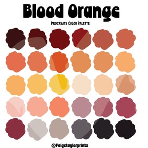 Paleta de cores Blood Orange Procreate, paleta colorida, paleta de cores, iPad Pro, Procreate, códigos de cores hexadecimais, arte digital