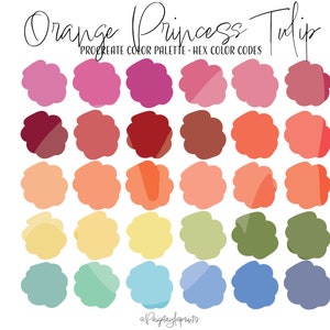 May include: A colour palette with 20 different shades of orange, red, pink, yellow, green, blue, and teal. The palette is titled "Orange Princess Tulip" and is for Procreate.