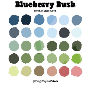 Blueberry Bush Procreate Color Palette, Colorful Palette, Color Palette, iPad Pro, Procreate