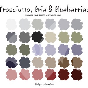 Prosciutto, brie en bosbessen voortplanten Kleurenpalet, kleurrijk palet, kleurenpalet, voortplanten, hexadecimale kleurcodes, digitale afbeelding