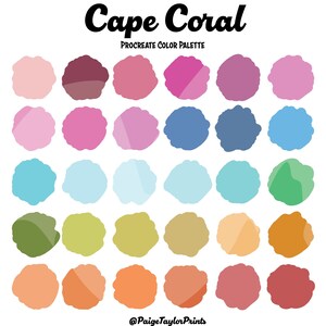 Cape Coral Procreate Color Palette, Colorful Palette, Color Palette, iPad Pro, Procreate, Hex Color Codes