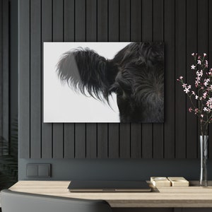 Minimalist wall art, Cow Wall Art, Farm Print, Angus Cattle Photo, Living Room Art Decor, Digital Download