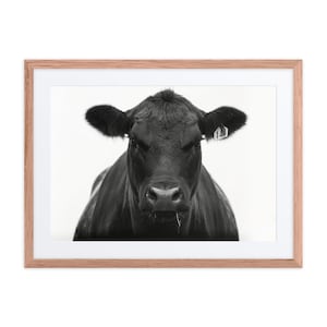 Angus Cow Head, Angus Cattle Print,Bedroom Prints,Cow Head Print, Wall Decor,Printable Poster, Wall Art