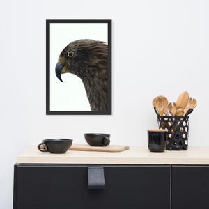 Kea Bird Oil Painting, New Zealand Art, Wall Decor, Digital Download