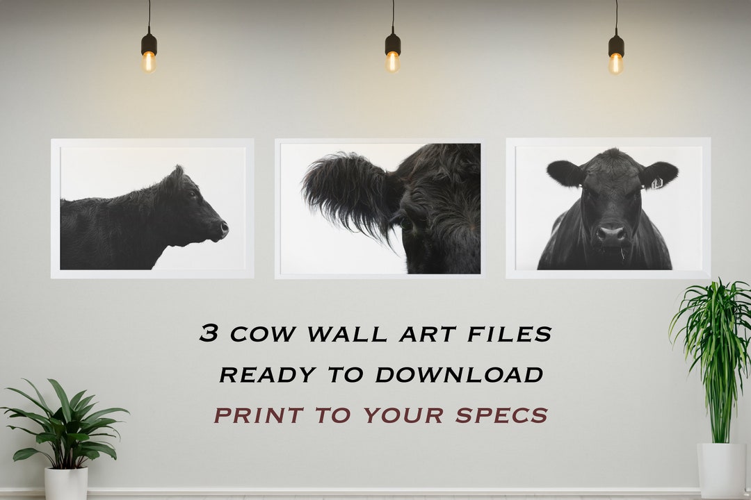 Minimalist Cattle Decor Wall Art Set, Cow Living Room Art, Angus Cow