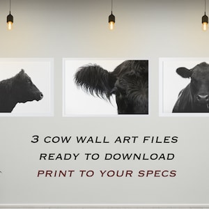 Minimalist Cattle Decor Wall Art Set, Cow Living Room Art, Angus Cow Head Print, Wall Decor Printable Poster