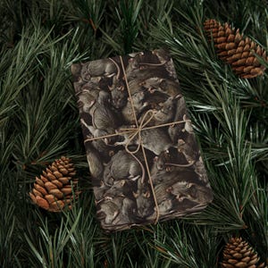 Rat Pattern Wrapping Paper, Vermin Lover Gift Packaging image 9
