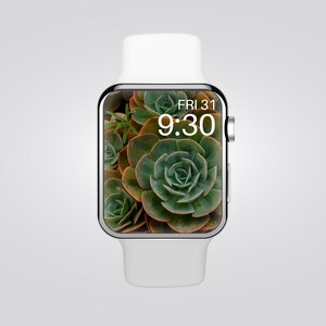 Apple Watch Wallpaper | Smart Watch Wallpaper | Flower Watch Face | Plant Watch Screensaver | Botanical Watch Background