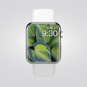 Botanical Apple Watch Wallpaper | Spring Watch Face | Apple Watch Face | Botanical Watch Background | Apple Watch Aesthetics | Smart Watch