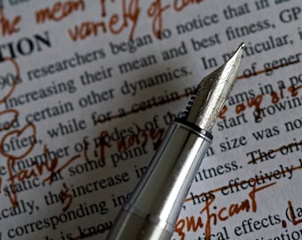 Essay Help Proofreading and Editing Services- for Essays, Stories, Letters, Blog Posts, and More