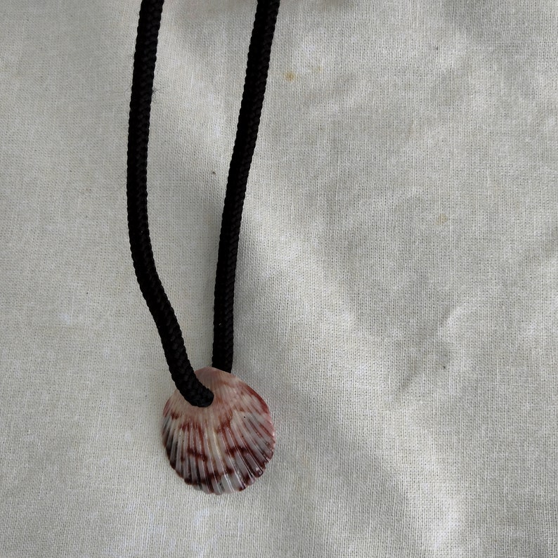 SCALLOP SHELL NECKLACE on a Rope Cord Handmade to Resemble the One off
