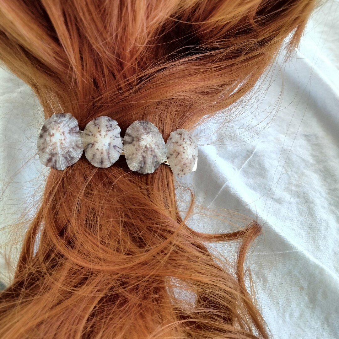 KEYHOLE LIMPET SHELL Large Barrettes , Beach Decor - Etsy