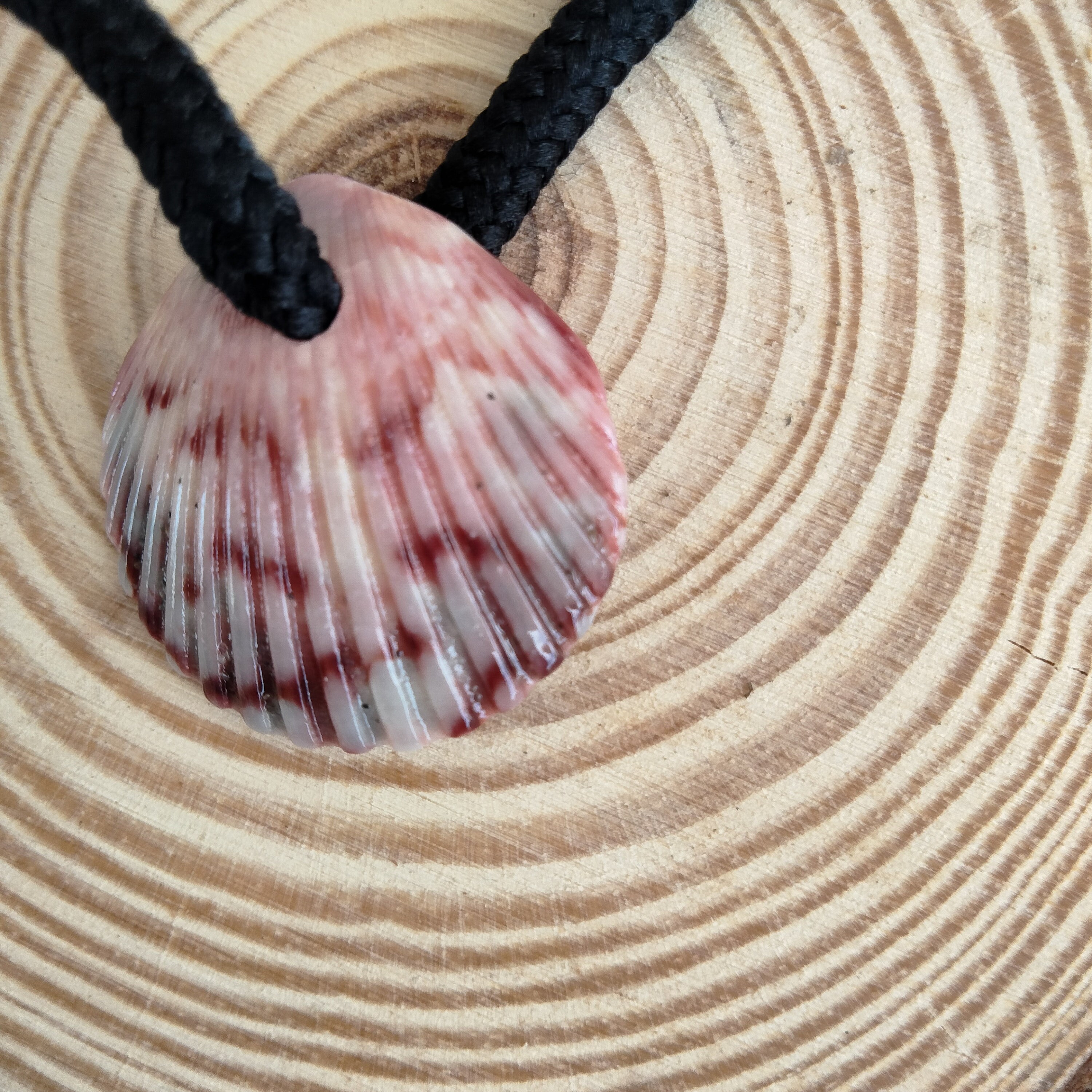 SCALLOP SHELL NECKLACE on a Rope Cord Handmade to Resemble the One off of the Movie Where the