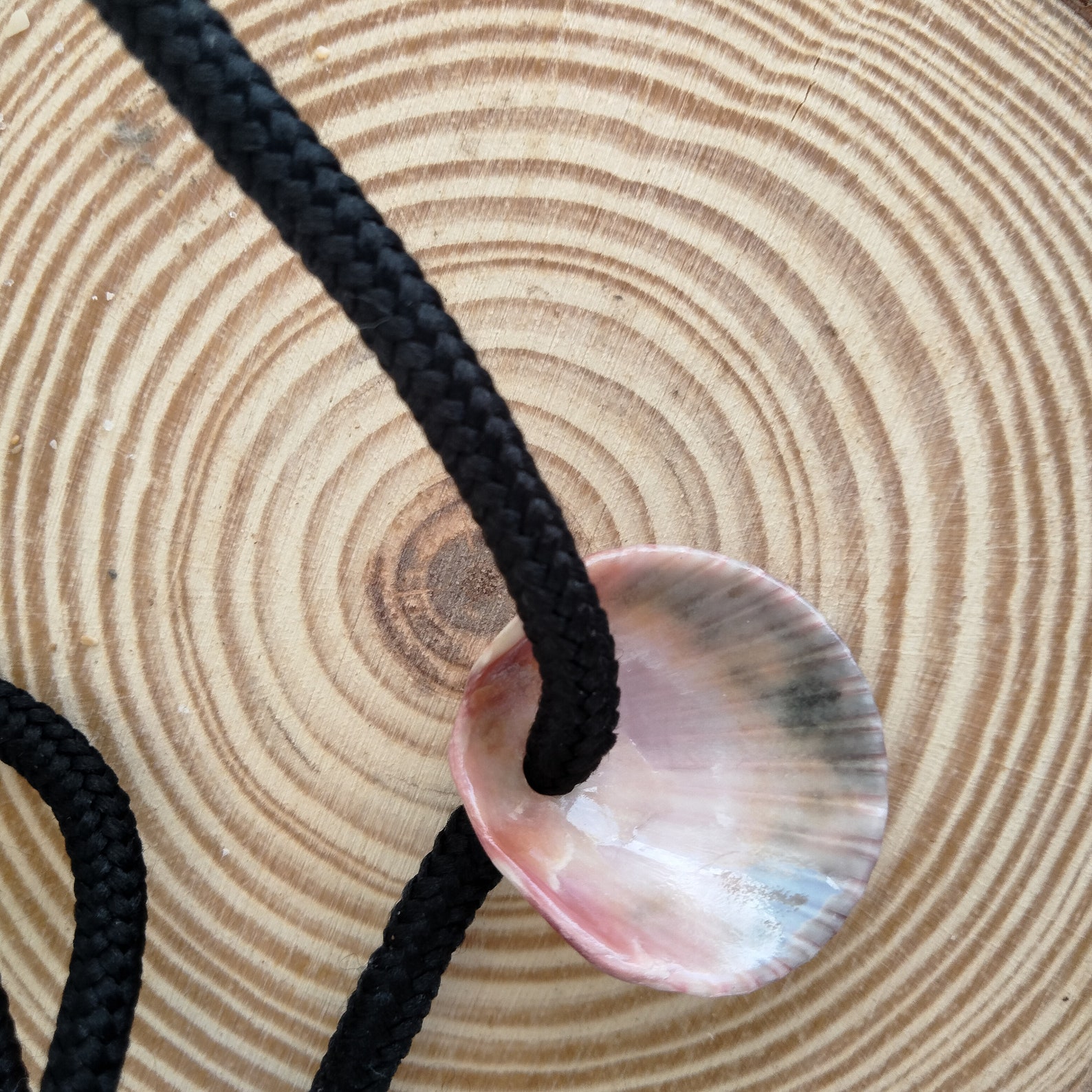 SCALLOP SHELL NECKLACE on a Rope Cord Handmade to Resemble the One off