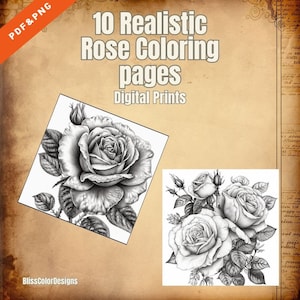 10 Realistic Rose Coloring Pages Digital PDF/PNG