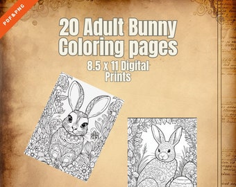 20 páginas para colorear de conejitos adultos Digital PDF/PNG