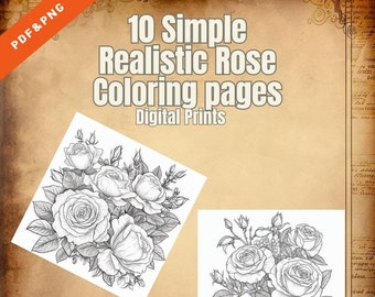 10 páginas para colorear de rosas simples y realistas PDF/PNG digital