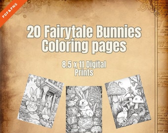20 Páginas para colorear de conejitos de cuento de hadas Digital PDF/PNG