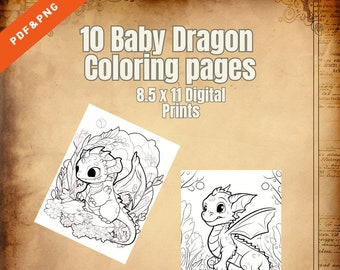 10 Páginas para colorear de Bebé Dragón Digital PDF/PNG