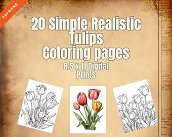 20 páginas para colorear de tulipanes realistas simples PDF/PNG digitales