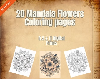 20 Páginas para colorear de flores de mandala Digital PDF/PNG
