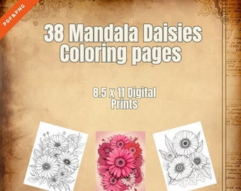 38 Páginas para colorear Mandala Margaritas Digital PDF/PNG