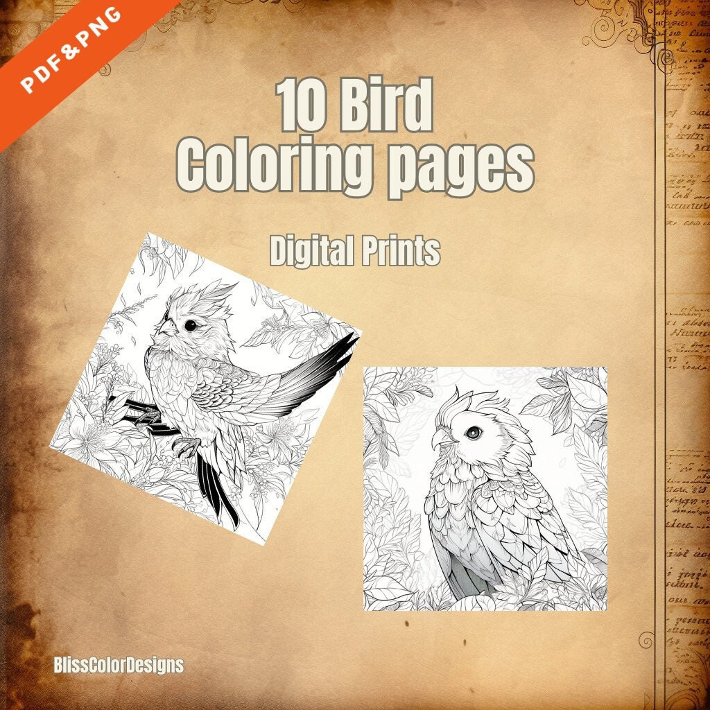 10 Bird Coloring Pages Digital PDF/PNG - Etsy